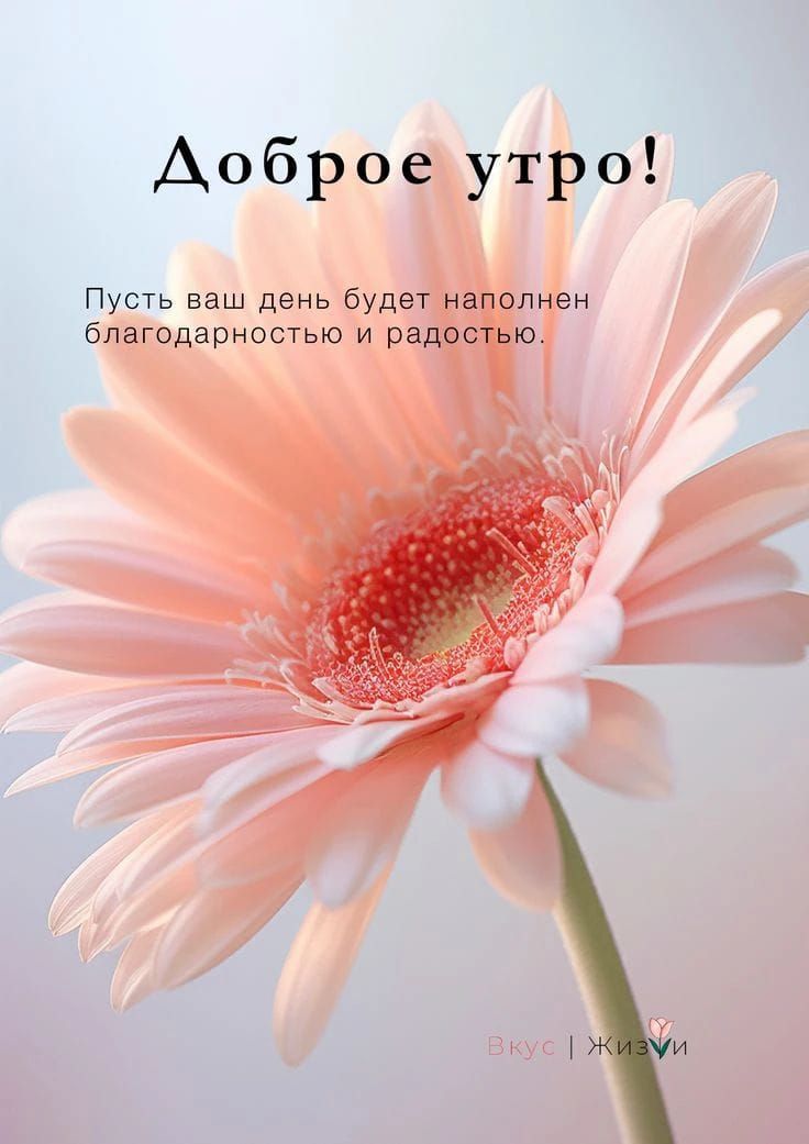 Доброе утро! Пусть ваш день будет наполнен благодарностью и радостью.