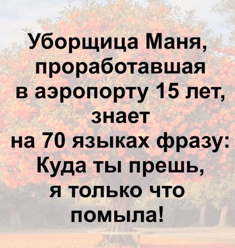 Уборщица Маня, проработавшая в аэропорту 15 лет, знает на 70 языках фразу: Куда ты прешь, я только что помыла!