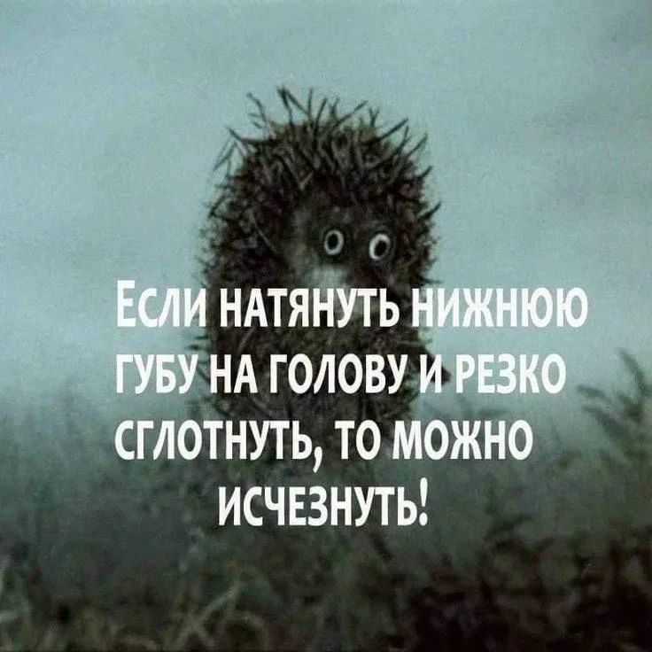 Если натянуть нижнюю губу на голову и резко сглотнуть, то можно исчезнуть!