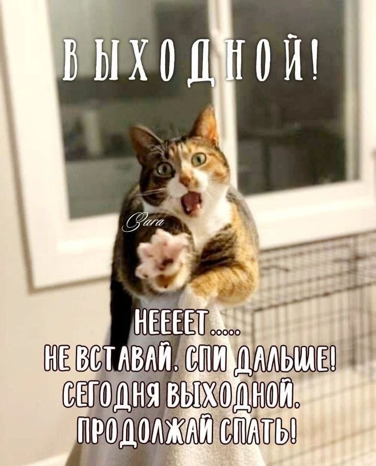 В ВЫХОДНОЙ! HEEEEET..... НЕ ВСТАВАЙ. СПИ ДАЛЬШЕ! СЕГОДНЯ ВЫХОДНОЙ. ПРОДОЛЖАЙ СПАТЬ!