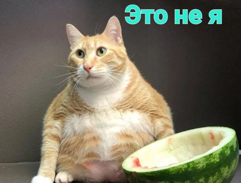 Это не я