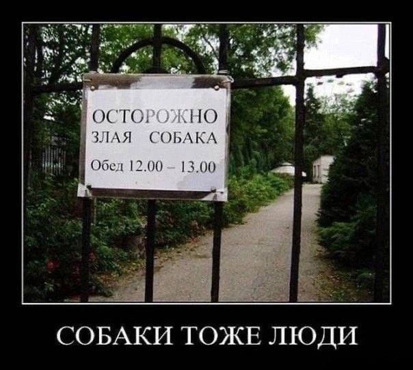 ОСТОРОЖНО ЗЛАЯ СОБАКА Обед 12.00 - 13.00 СОБАКИ ТОЖЕ ЛЮДИ