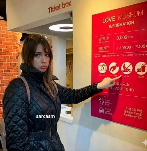 Ticket box LOVE MUSEUM INFORMATION 8,000 WON AM 09:00 - PM 09:00 NO PHOTO NO TOUCH NO SEX NO EAT ADULT ONLY sarcasm