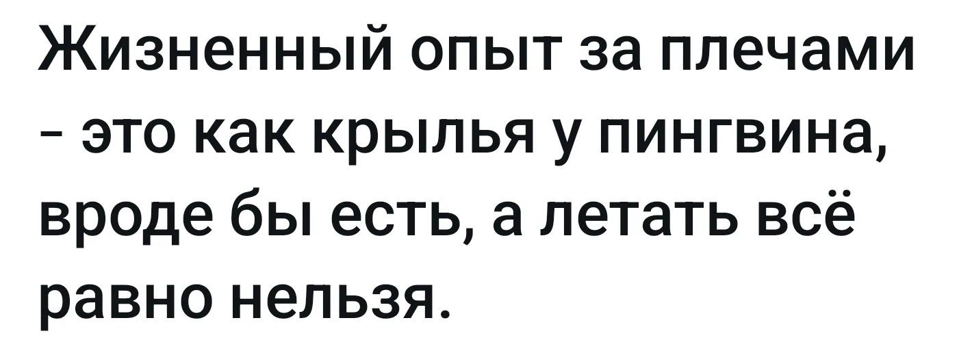 Жизненный опыт за плечами – это как крылья у пингвина, вроде бы есть, а летать всё равно нельзя.