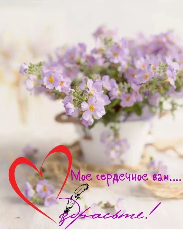 Мое сердечное вам.... Здрасьте!