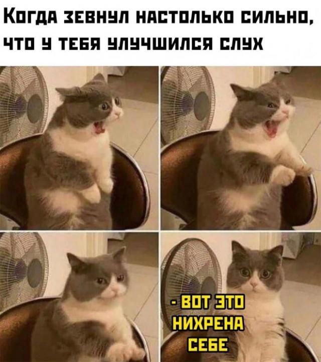 КОГДА ЗЕВНУЛ НАСТОЛЬКО СИЛЬНО, ЧТО У ТЕБЯ УЛУЧШИЛСЯ СЛУХ. ВОТ ЭТО НИХРЕНА СЕБЕ