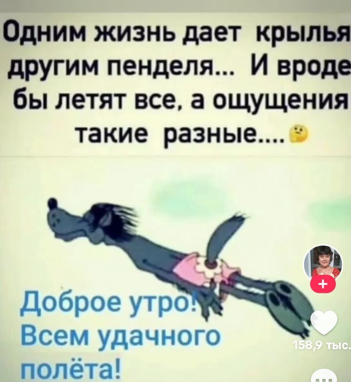 Одним жизнь дает крылья, другим пенделя... И вроде бы летят все, а ощущения такие разные.... 😟 Доброе утро! Всем удачного полёта!