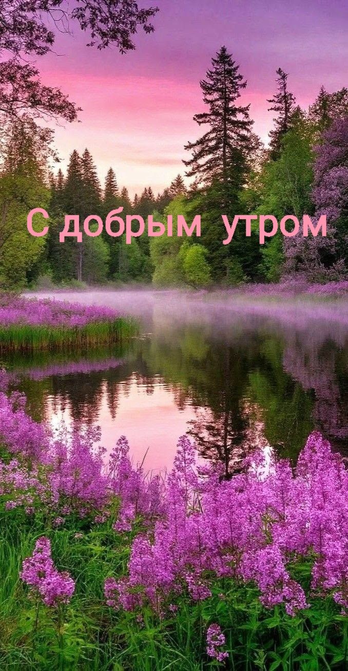 С добрым утром