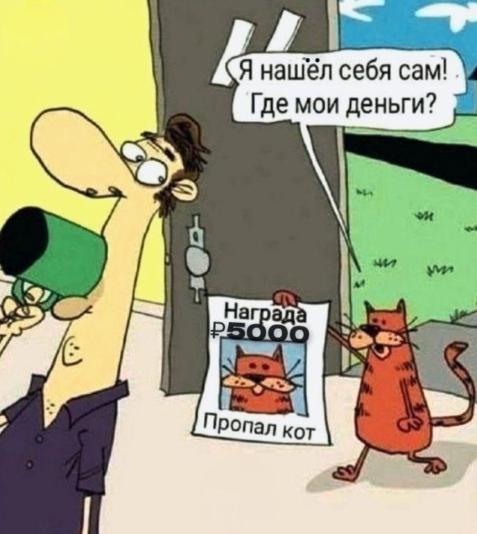 Я нашёл себя сам! Где мои деньги? Награда P5000 Пропал кот