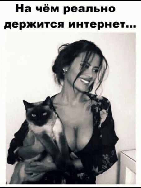 На чём реально держится интернет...