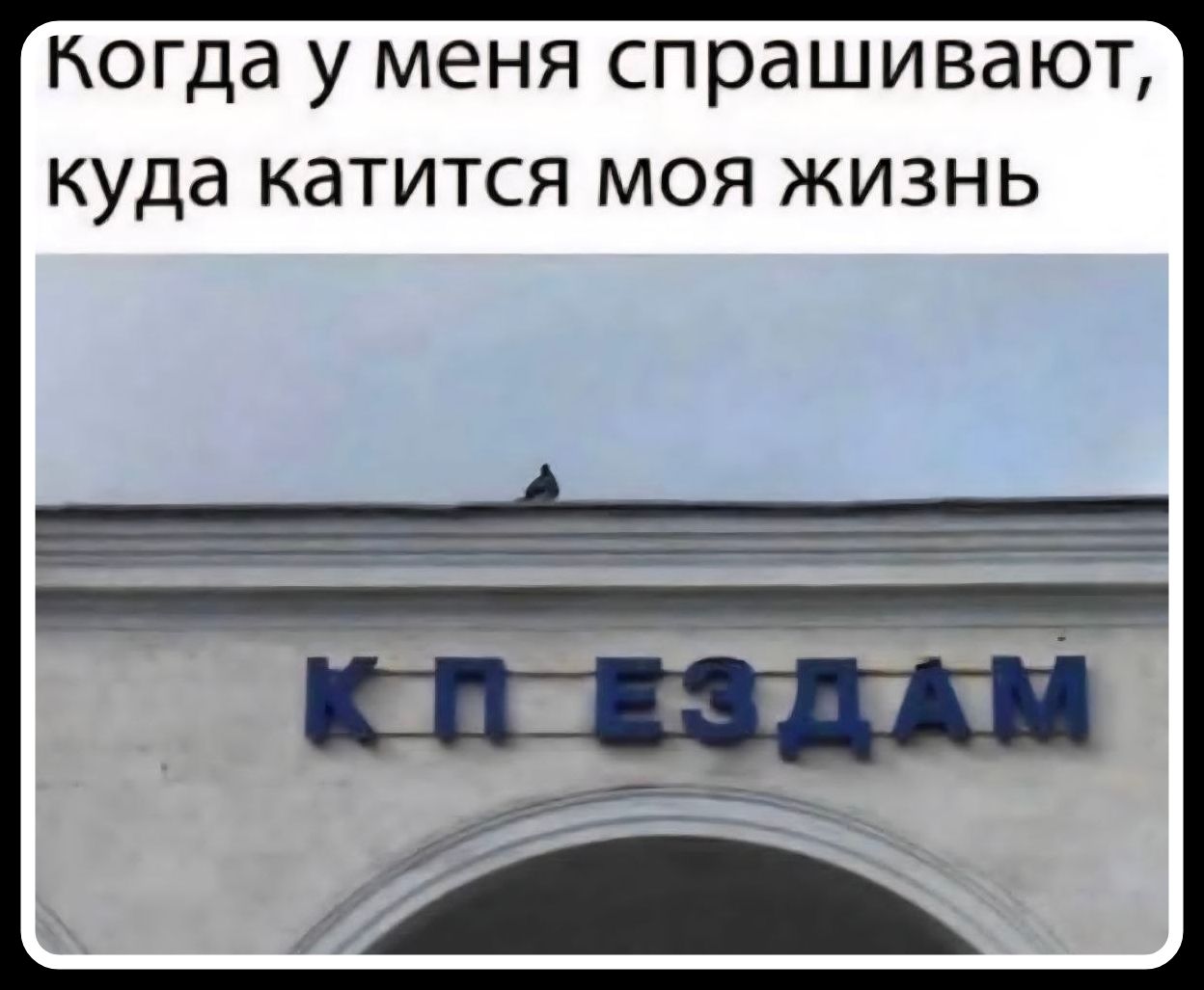 Когда у меня спрашивают, куда катится моя жизнь КП ЕЗДАМ