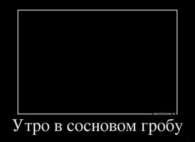Утро в сосновом гробу