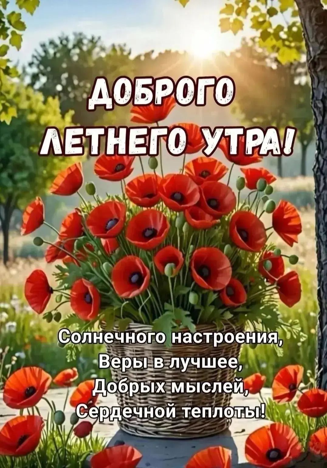 ДОБРОГО ЛЕТНЕГО УТРА! Солнечного настроения, Веры в лучшее, Добрых мыслей, Сердечной теплоты!