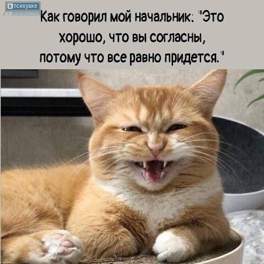 Как говорил мой начальник: 