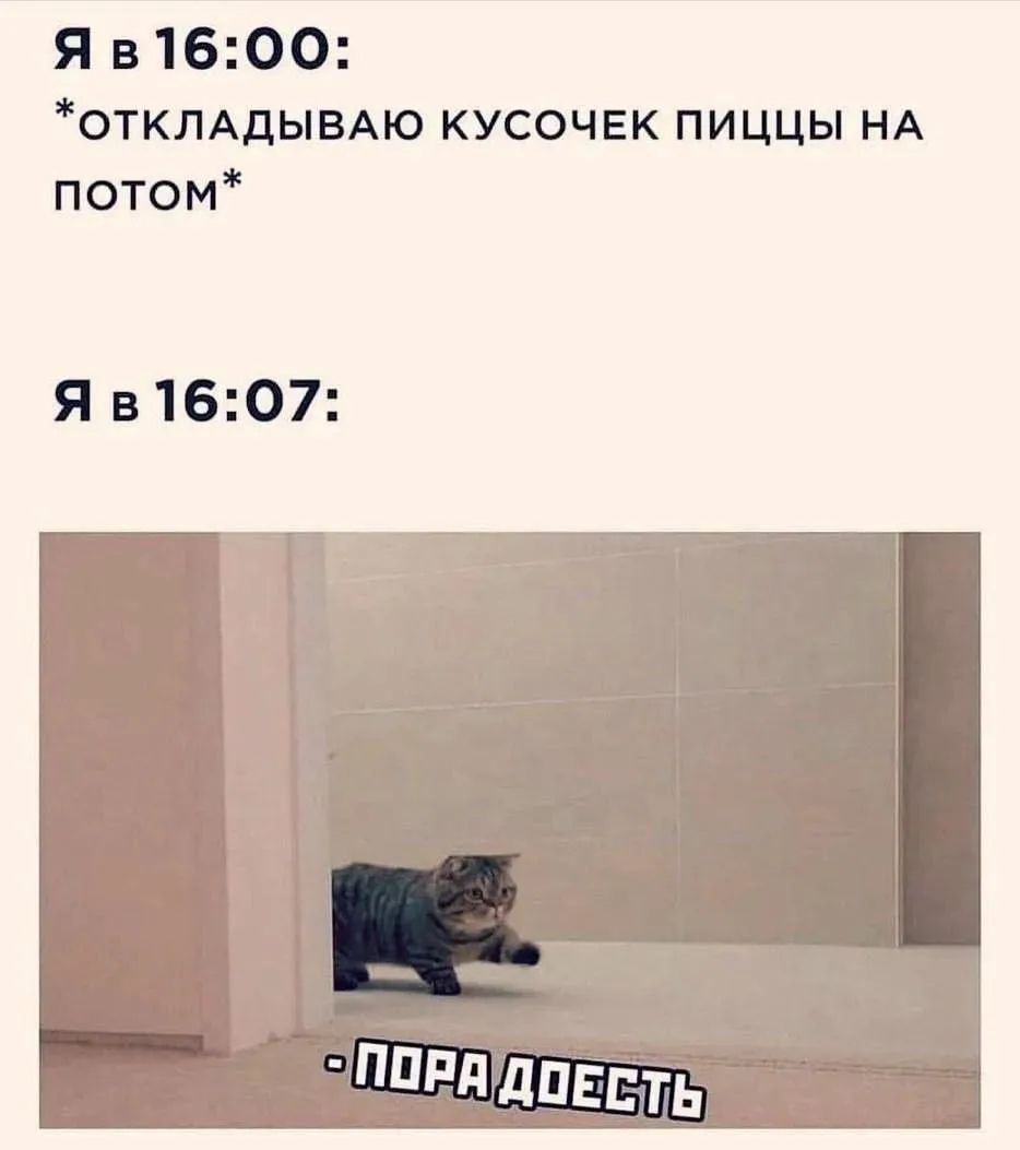 Я в 16:00: *ОТКЛАДЫВАЮ КУСОЧЕК ПИЦЦЫ НА ПОТОМ* Я в 16:07: - ПОРА ДОЕСТЬ