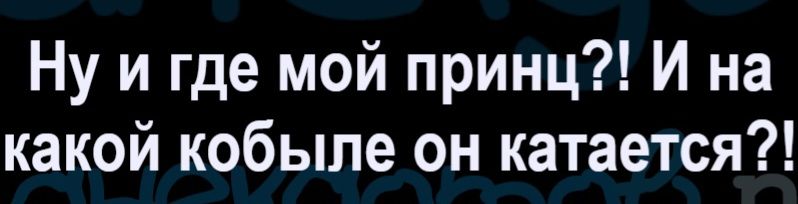 Ну и где мой принц?! И на какой кобыле он катается?!