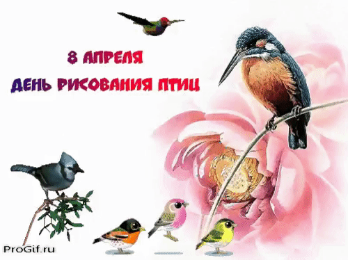 8 АПРЕЛЯ ДЕНЬ РИСОВАНИЯ ПТИЦ
