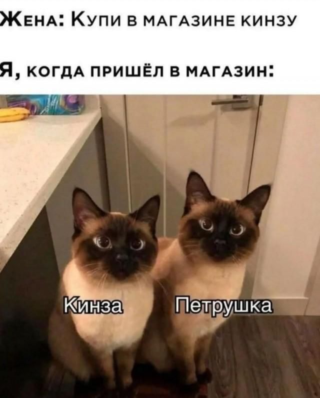 Жена: Купи в магазине кинзу Я, когда пришёл в магазин: Кинза Петрушка