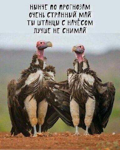 НЫНЧЕ ПО ПРОГНОЗАМ ОЧЕНЬ СТРАННЫЙ МАЙ ТЫ ШТАНЦЫ С НАЧЁСОМ ЛУЧШЕ НЕ СНИМАЙ