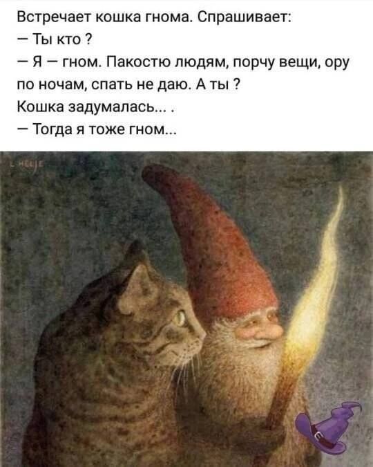 Встречает кошка гнома. Спрашивает: – Ты кто? – Я – гном. Пакостю людям, порчу вещи, ору по ночам, спать не даю. А ты? Кошка задумалась... – Тогда я тоже гном...