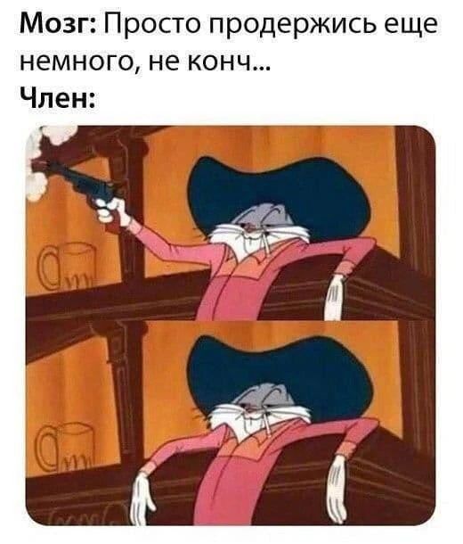 Мозг: Просто продержись еще немного, не конч...
Член: