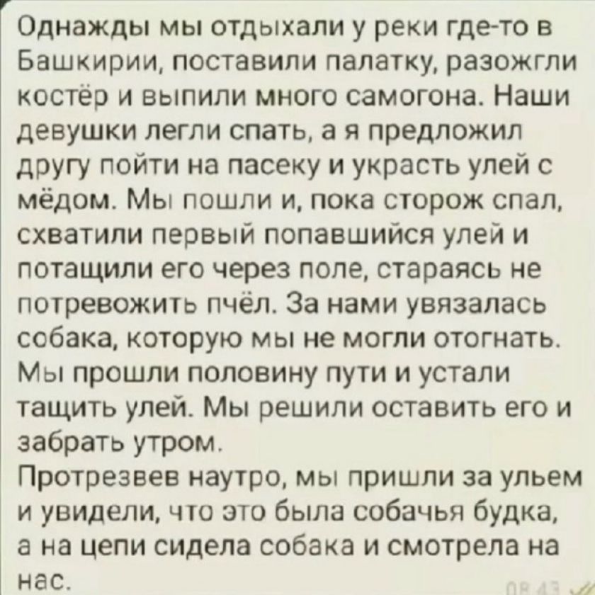 Однажды мы отдыхали у реки где-то в Башкирии, поставили палатку, разожгли костёр и выпили много самогона. Наши девушки легли спать, а я предложил другу пойти на пасеку и украсть улей с мёдом. Мы пошли и, пока сторож спал, схватили первый попавшийся улей и потащили его через поле, стараясь не потревожить пчёл. За нами увязалась собака, которую мы