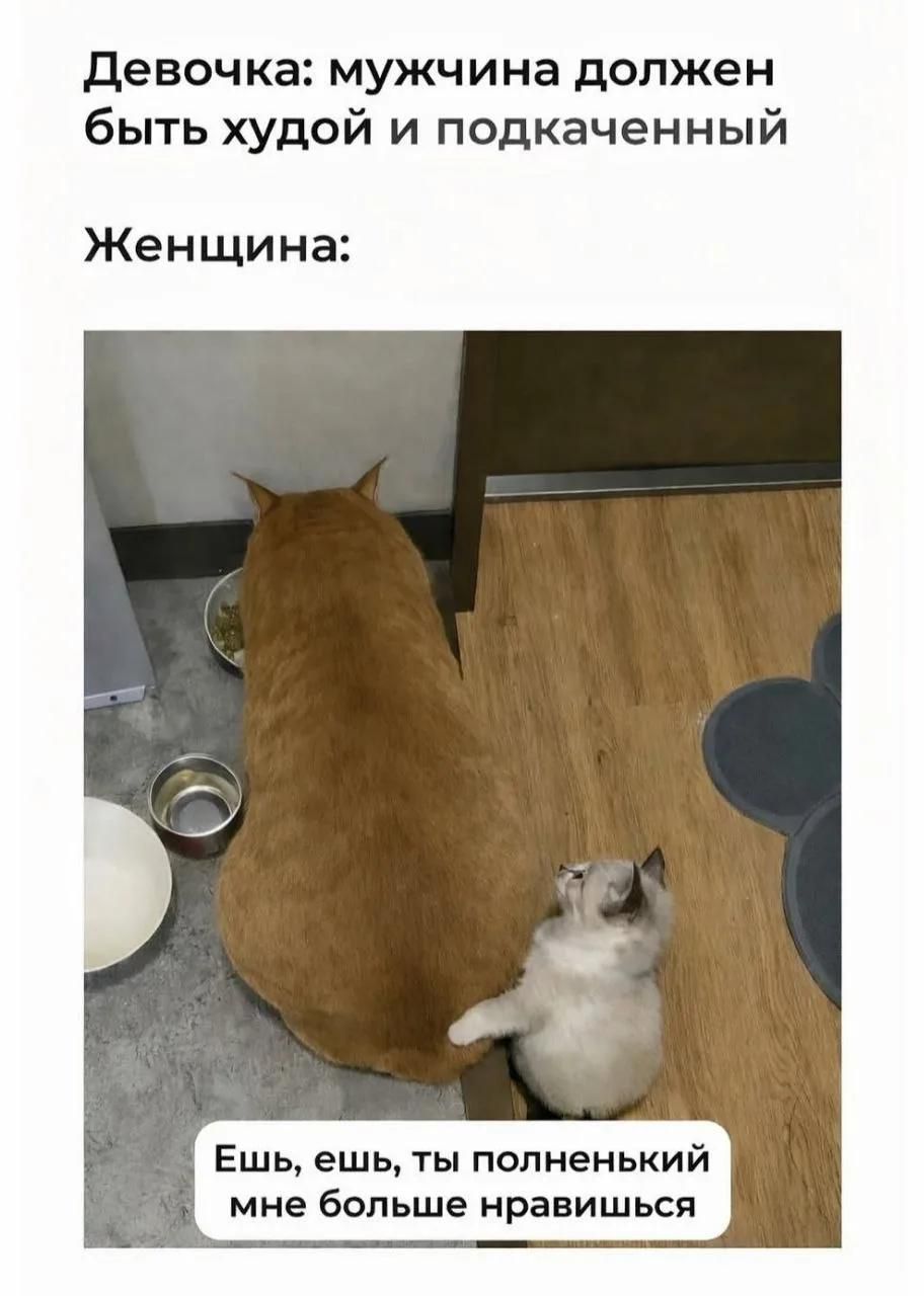 Девочка: мужчина должен быть худой и подкаченный. Женщина: Ешь, ешь, ты полненький мне больше нравишься