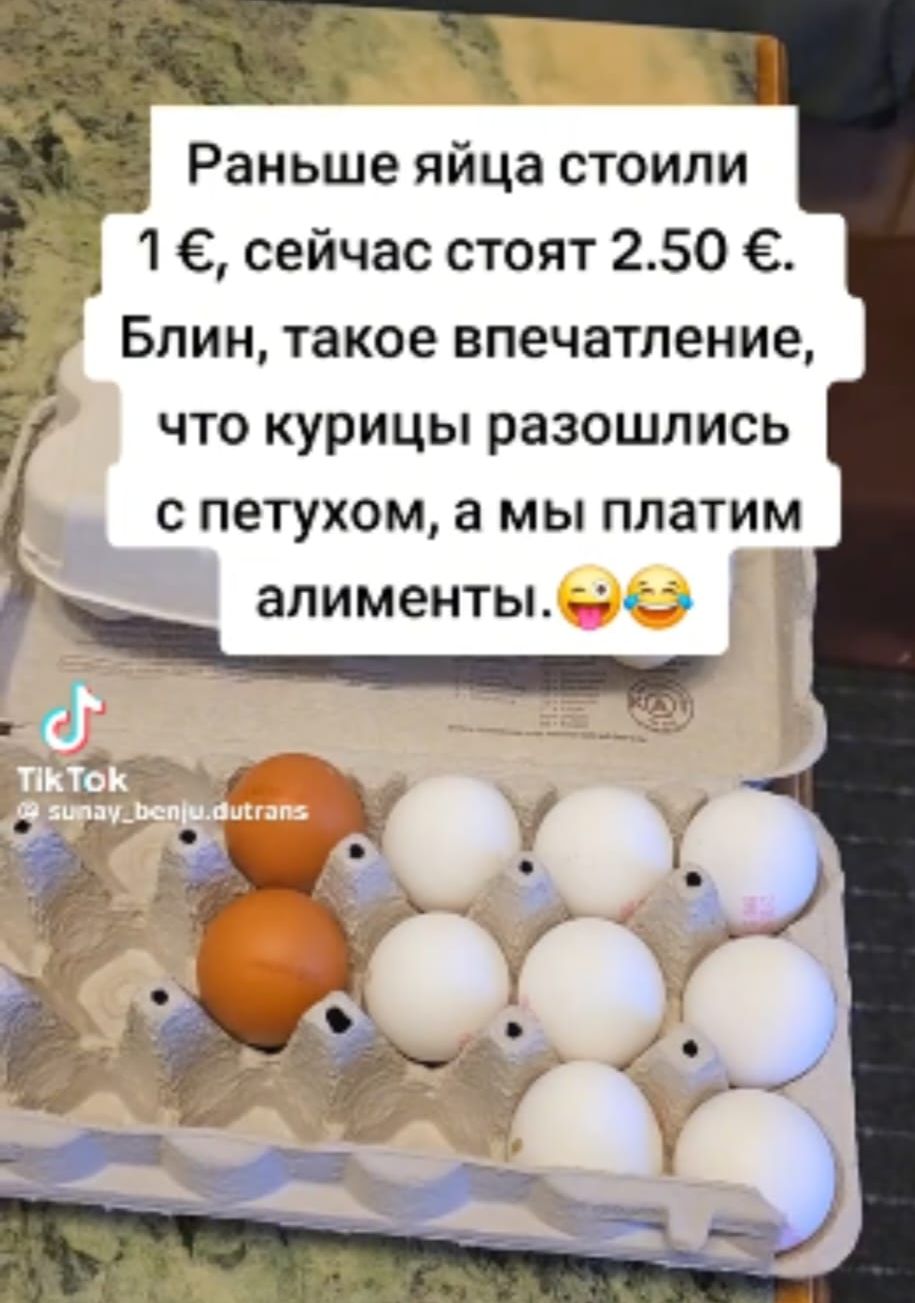 Раньше яйца стоили 1 €, сейчас стоят 2.50 €. Блин, такое впечатление, что курицы разошлись с петухом, а мы платим алименты.😜😂