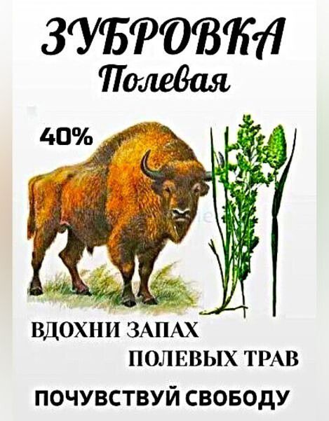 ЗУБРОВКА Полевая 40% ВДОХНИ ЗАПАХ ПОЛЕВЫХ ТРАВ ПОЧУВСТВУЙ СВОБОДУ