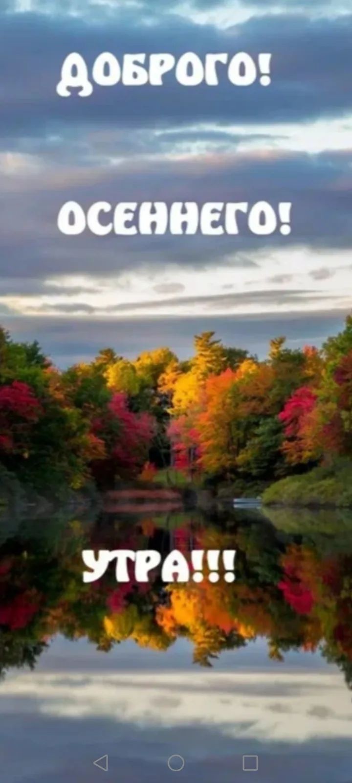 ДОБРОГО! ОСЕННЕГО! УТРА!!!