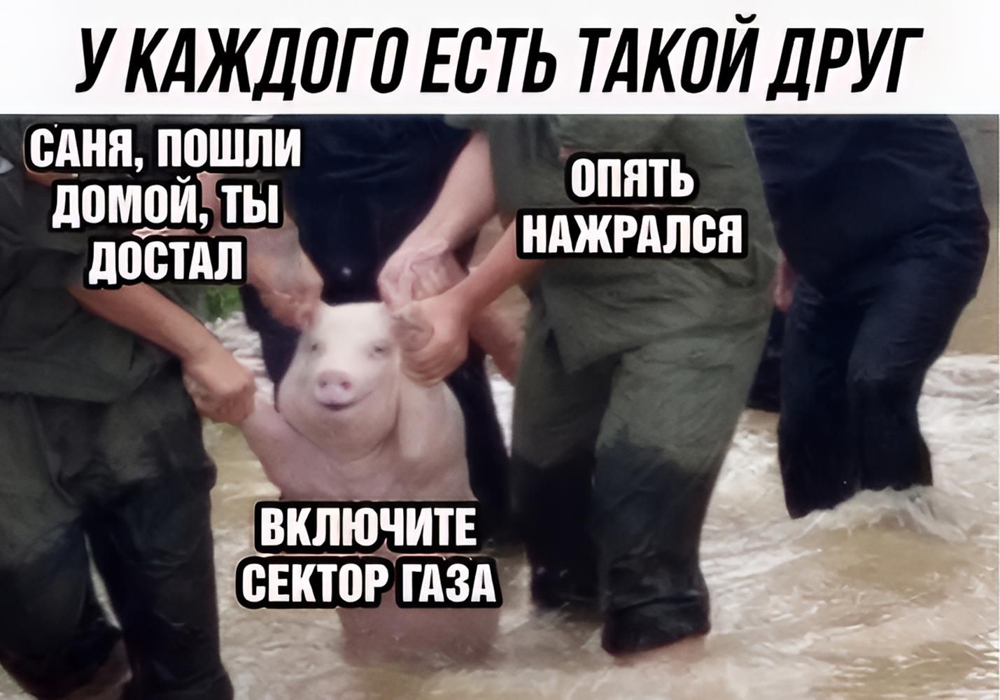 У каждого есть такой друг. Саня, пошли домой, ты достал. Опять нажрался. Включите сектор газа.