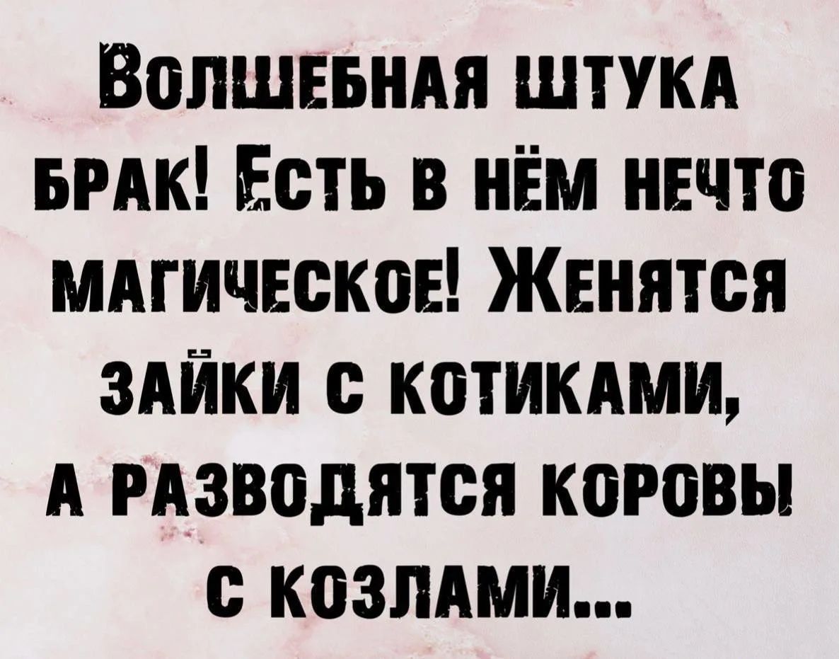 ВОЛШЕБНАЯ ШТУКА БРАК! Есть в нём нечто МАГИЧЕСКОЕ! Женятся ЗАЙКИ с КОТИКАМИ, А РАЗВОДЯТСЯ КОРОВЫ С КОЗЛАМИ...
