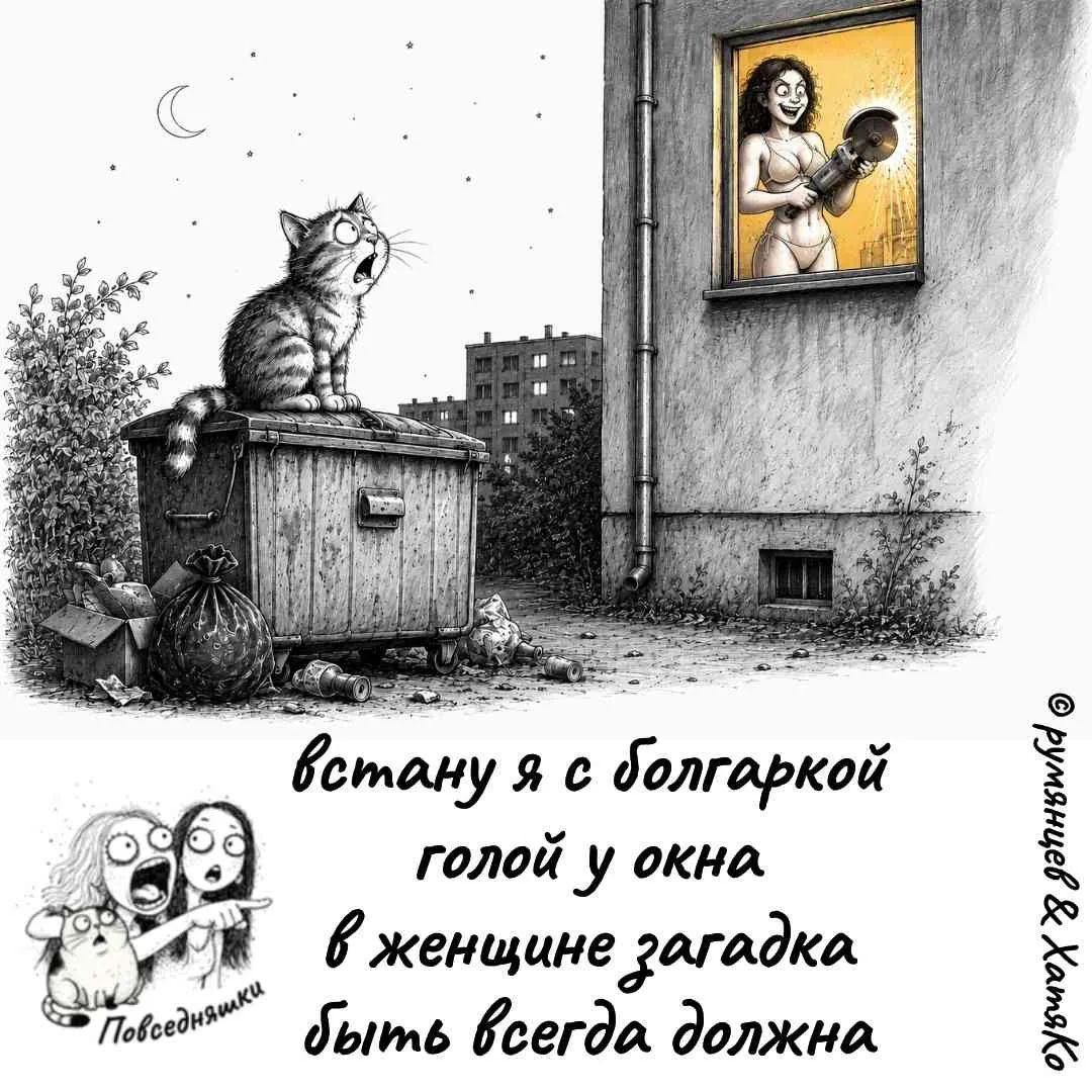 Кот сидит на мусорном баке и смотрит на женщину в окне, которая в нижнем белье держит болгарку. Текст: «встану я с болгаркой голой у окна, в женщине загадка быть всегда должна».