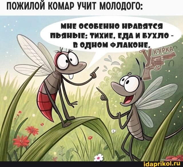 ПОЖИЛОЙ КОМАР УЧИТ МОЛОДОГО: МНЕ ОСОБЕННО НРАВЯТСЯ ПЬЯНЫЕ: ТИХИЕ, ЕДА И БУХЛО - В ОДНОМ ФЛАКОНЕ.
