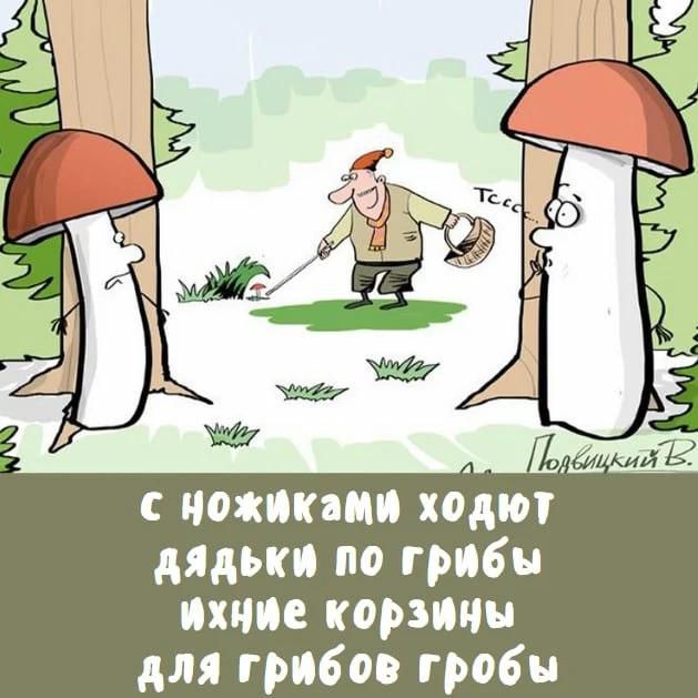 С ножиками ходят дядьки по грибы, ихние корзины для грибов гробы
