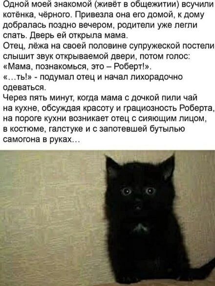 Одной моей знакомой (живёт в общежитии) всучили котёнка, чёрного. Привезла она его домой, к дому добралась поздно вечером, родители уже легли спать. Дверь ей открыла мама. Отец, лёжа на своей половине супружеской постели слышит звук открываемой двери, потом голос: «Мама, познакомься, это – Роберт!». «…ть!» - подумал отец и начал лихорадочно
