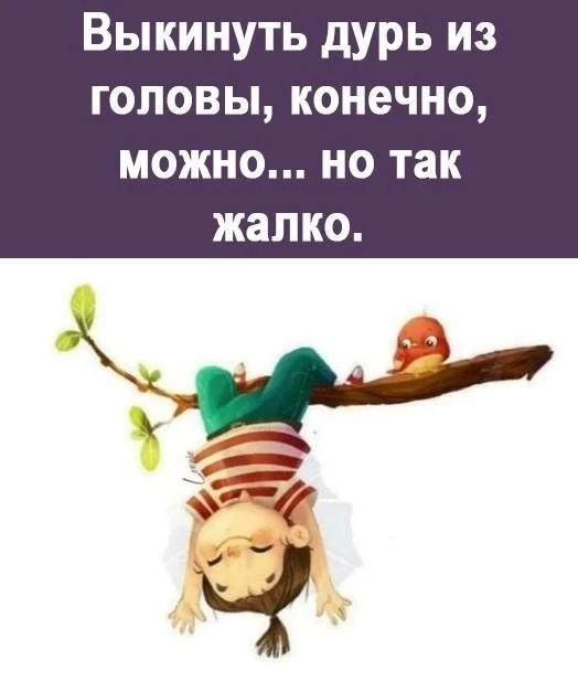 Выкинуть дурь из головы, конечно, можно... но так жалко.