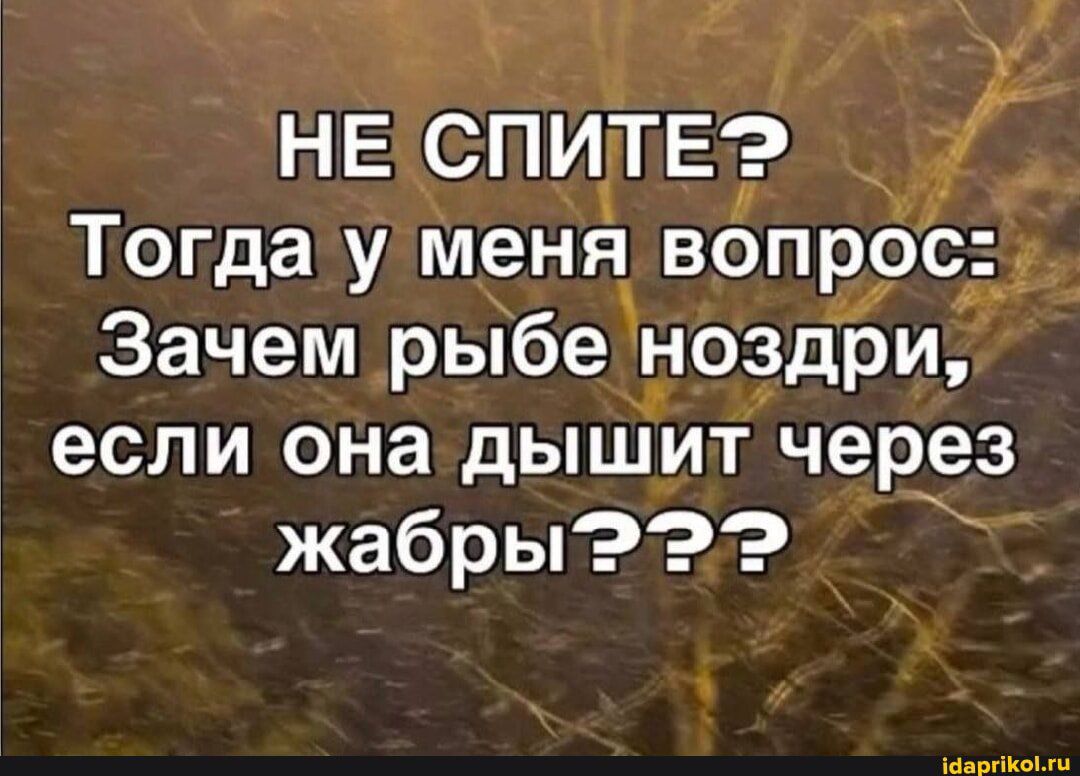 НЕ СПИТЕ? Тогда у меня вопрос: Зачем рыбе ноздри, если она дышит через жабры???
