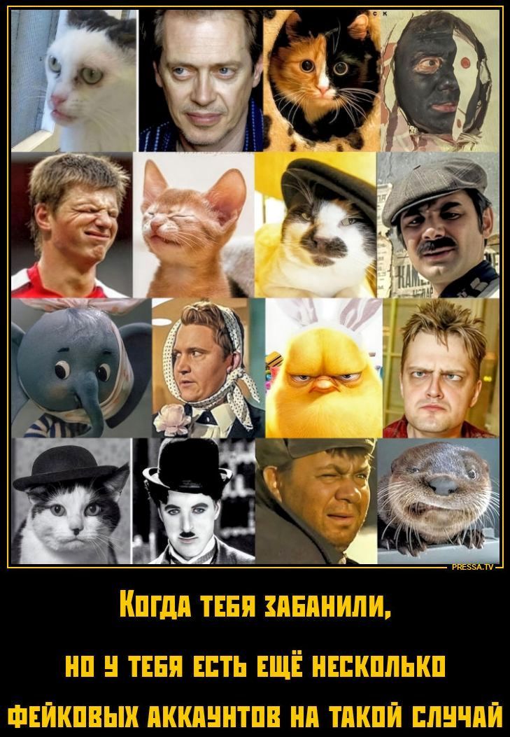 Когда тебя забанили, но у тебя есть ещё несколько фейковых аккаунтов на такой случай