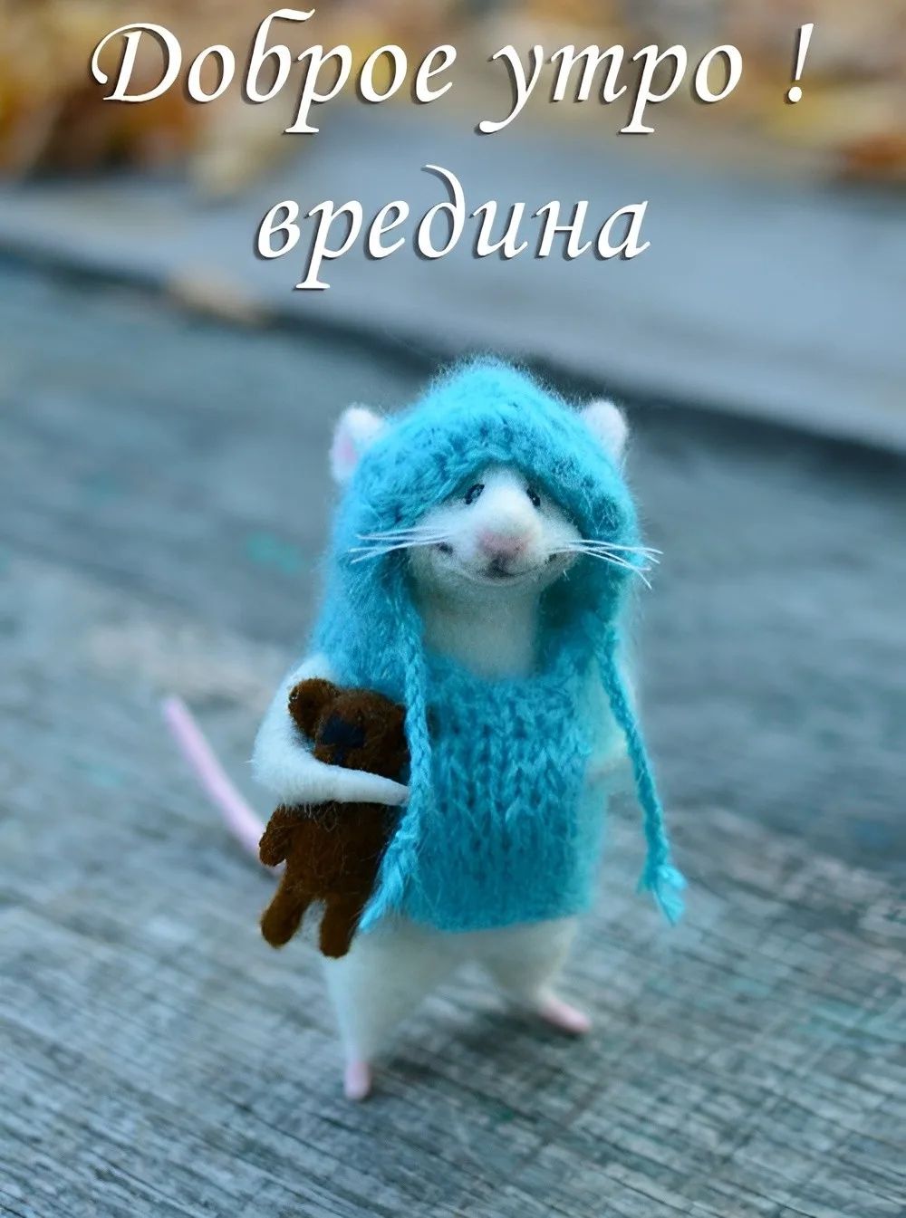 Доброе утро! вредина