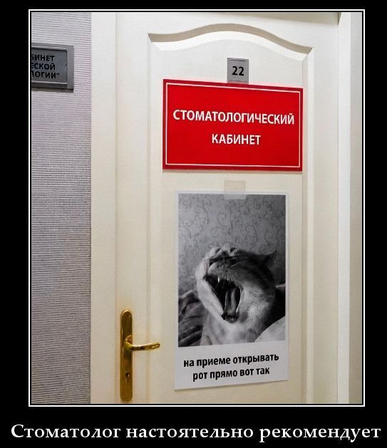 СТОМАТОЛОГИЧЕСКИЙ КАБИНЕТ 22 на приеме открывать рот прямо вот так Стоматолог настоятельно рекомендует