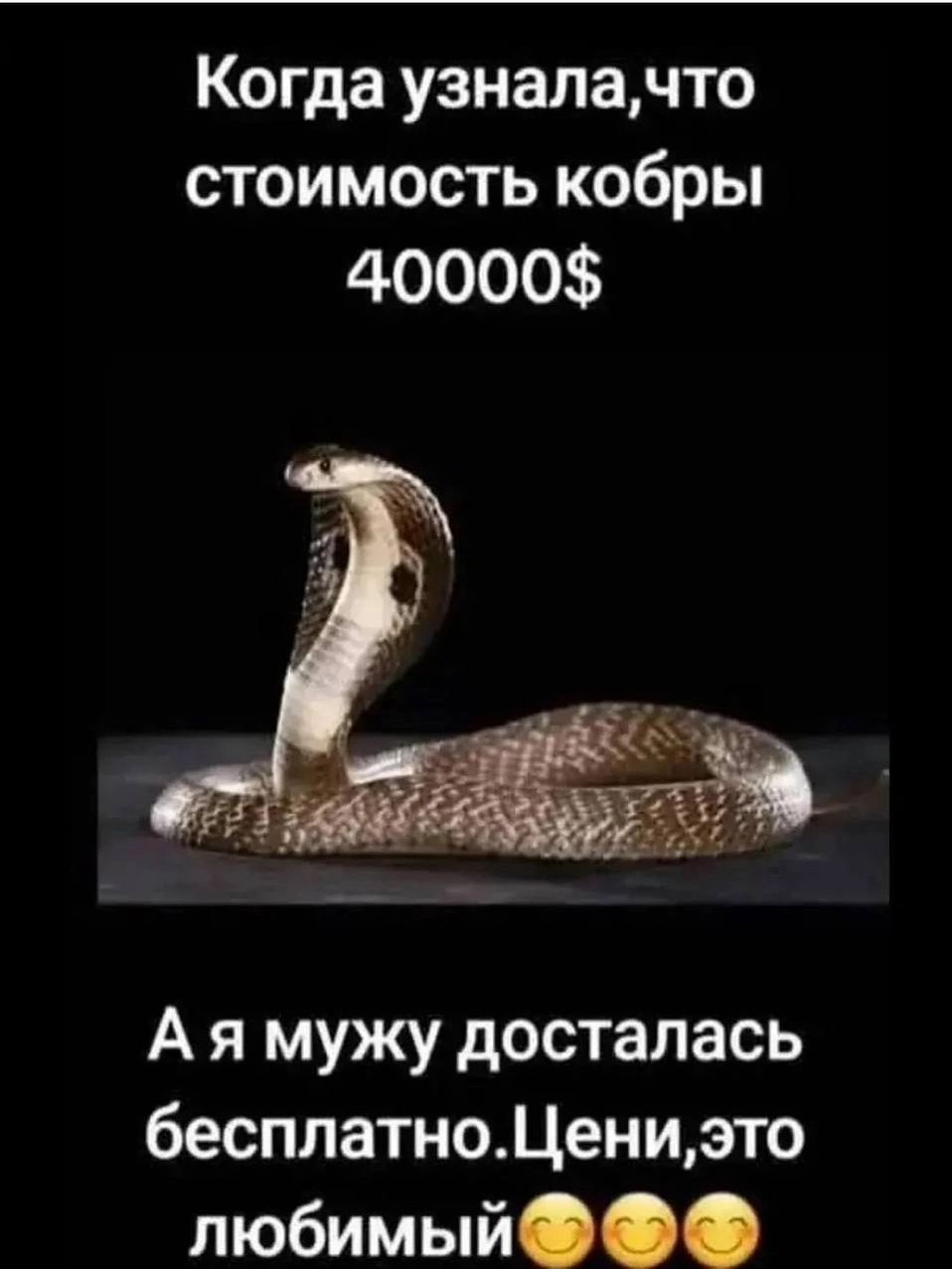 Когда узнала, что стоимость кобры 40000$ А я мужу досталась бесплатно. Цени, это любимый