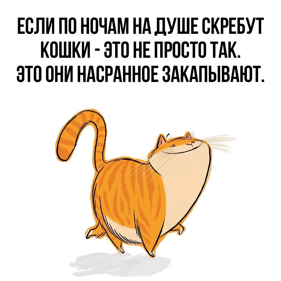 ЕСЛИ ПО НОЧАМ НА ДУШЕ СКРЕБУТ КОШКИ - ЭТО НЕ ПРОСТО ТАК. ЭТО ОНИ НАСРАННОЕ ЗАКАПЫВАЮТ.