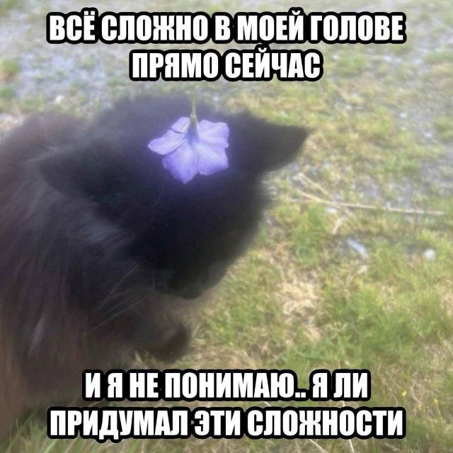 ВСЁ СЛОЖНО В МОЕЙ ГОЛОВЕ ПРЯМО СЕЙЧАС. И Я НЕ ПОНИМАЮ.. Я ЛИ ПРИДУМАЛ ЭТИ СЛОЖНОСТИ