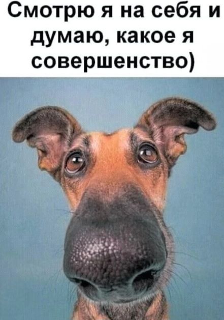 Смотрю я на себя и думаю, какое я совершенство)