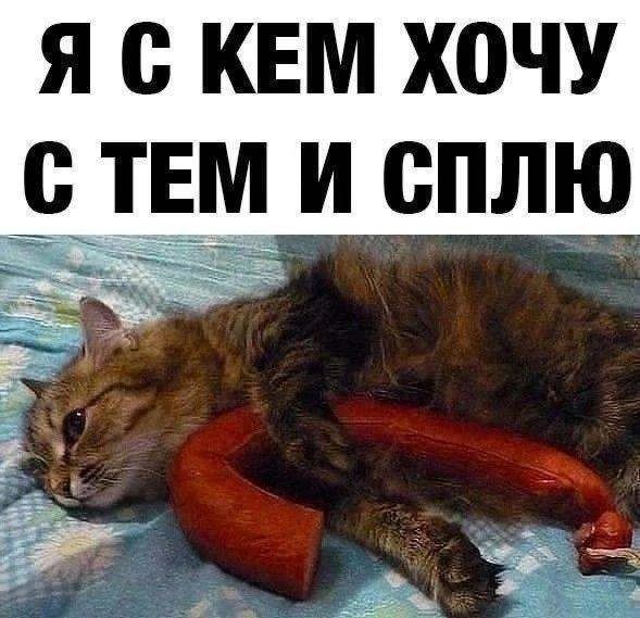 Я С КЕМ ХОЧУ С ТЕМ И СПЛЮ. Кот спит с колбасой на кровати.
