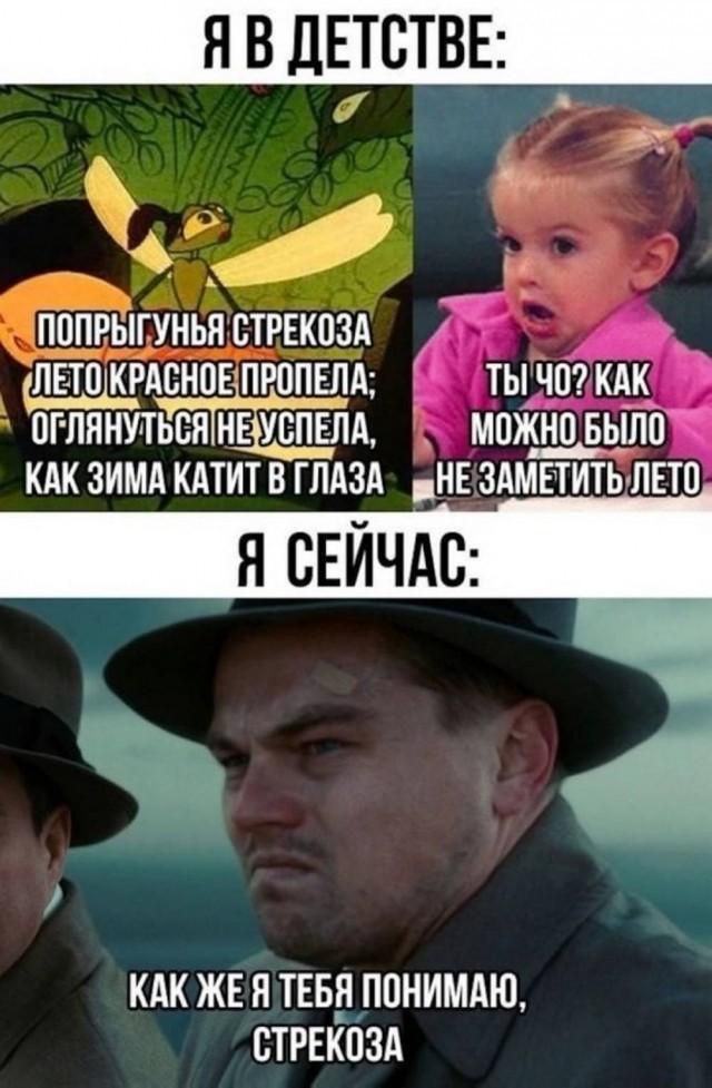 Я В ДЕТСТВЕ: ПОПРЫГУНЬЯ СТРЕКОЗА ЛЕТО КРАСНОЕ ПРОПЕЛА; ОГЛЯНУТЬСЯ НЕ УСПЕЛА, КАК ЗИМА КАТИТ В ГЛАЗА ТЫ ЧО? КАК МОЖНО БЫЛО НЕ ЗАМЕТИТЬ ЛЕТО Я СЕЙЧАС: КАК ЖЕ Я ТЕБЯ ПОНИМАЮ, СТРЕКОЗА
