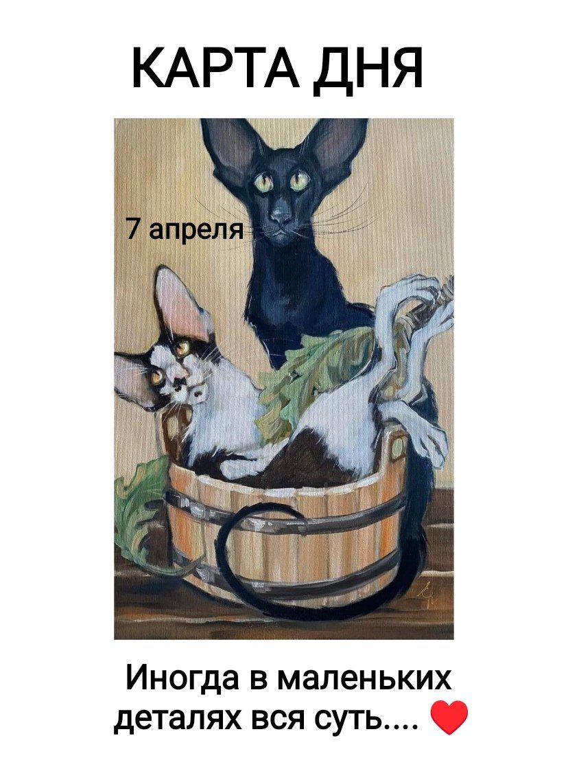 КАРТА ДНЯ
7 апреля
Иногда в маленьких деталях вся суть.... ❤️