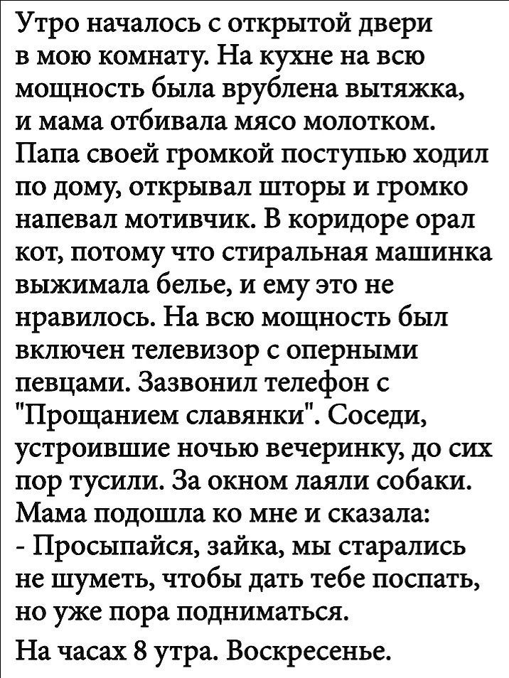 Утро началось с открытой двери в мою комнату. На кухне на всю мощность была врублена вытяжка, и мама отбивала мясо молотком. Папа своей громкой поступью ходил по дому, открывал шторы и громко напевал мотивчик. В коридоре орал кот, потому что стиральная машинка выжимала белье, и ему это не нравилось. На всю мощность был включен телевизор с оперными