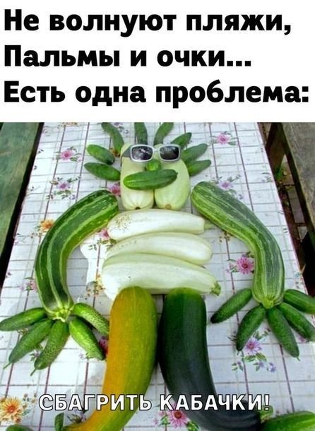 Не волнуют пляжи, Пальмы и очки... Есть одна проблема: СБАГРИТЬ КАБАЧКИ!
